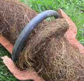 Drain Pipe Tree Root Removal Services